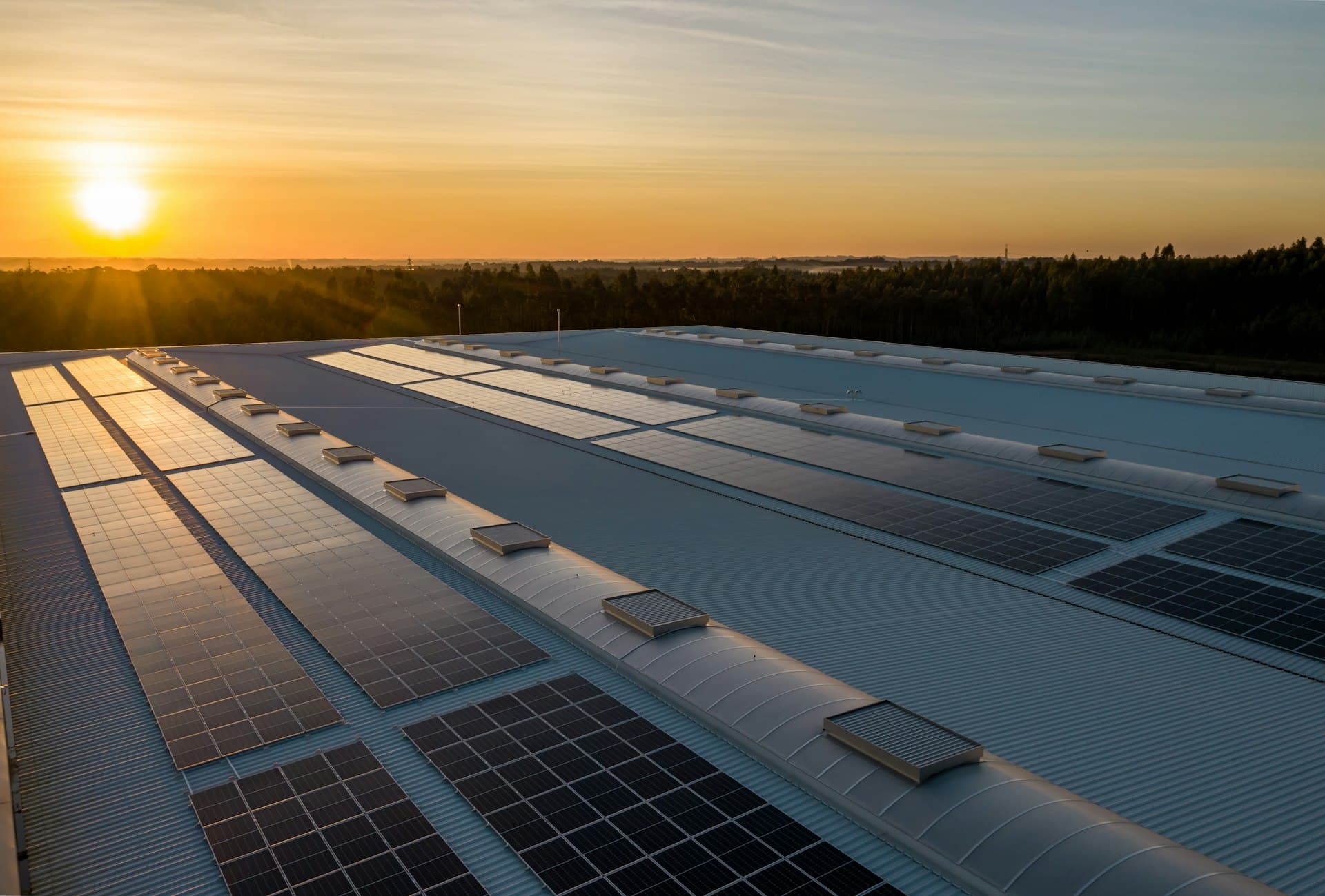 Professional solar panel cleaning in progress